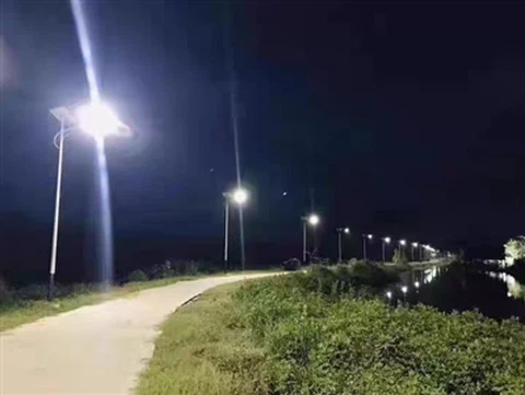 Why Choose Solar Lights?